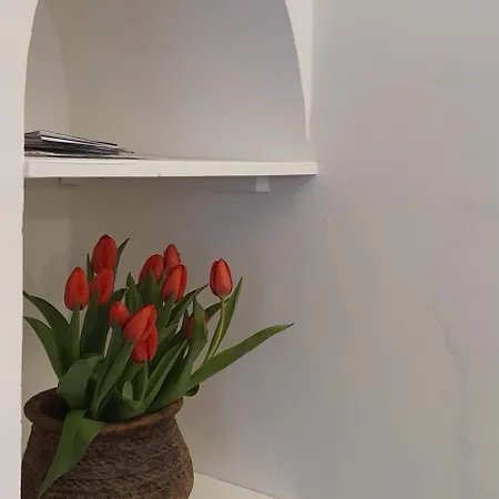 Il Glicine Apartamento Praiano