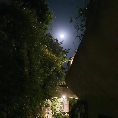 Il Glicine Apartamento