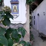 Il Glicine