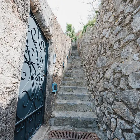 Il Glicine