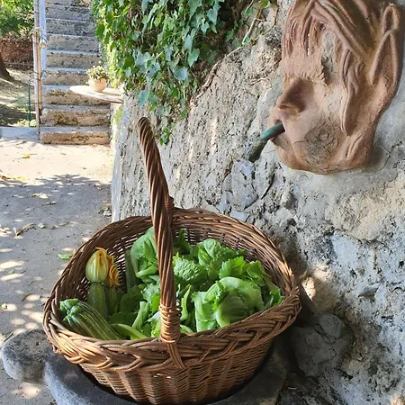 Il Glicine Apartment *