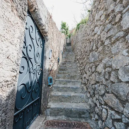 Il Glicine